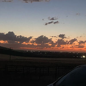 Meet your Posher, Carol